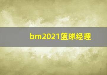 bm2021篮球经理