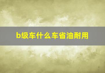 b级车什么车省油耐用