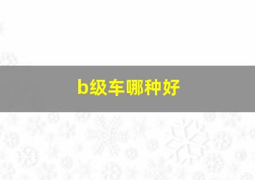 b级车哪种好