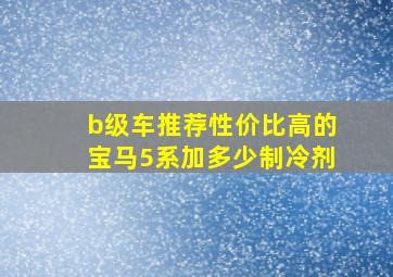 b级车推荐性价比高的宝马5系加多少制冷剂