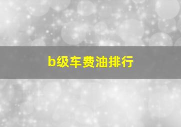 b级车费油排行