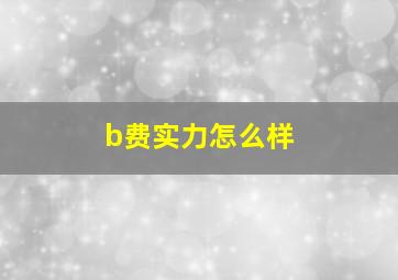 b费实力怎么样