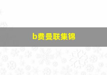 b费曼联集锦