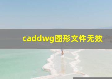 caddwg图形文件无效