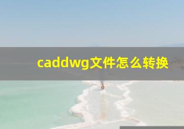 caddwg文件怎么转换