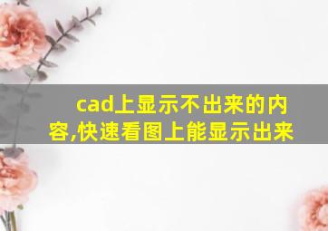 cad上显示不出来的内容,快速看图上能显示出来