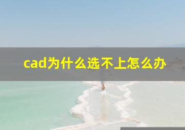 cad为什么选不上怎么办