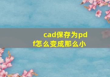 cad保存为pdf怎么变成那么小