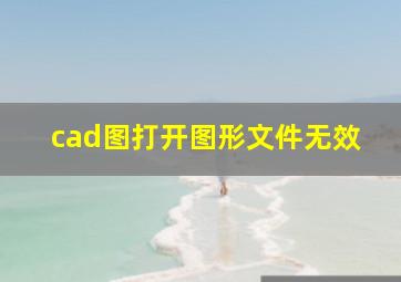 cad图打开图形文件无效