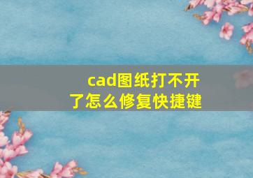 cad图纸打不开了怎么修复快捷键