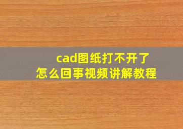 cad图纸打不开了怎么回事视频讲解教程