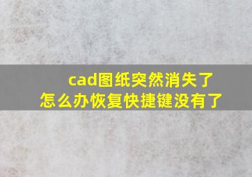 cad图纸突然消失了怎么办恢复快捷键没有了