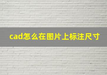 cad怎么在图片上标注尺寸