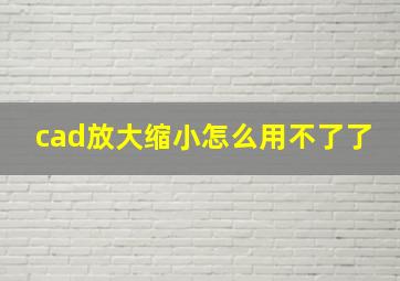 cad放大缩小怎么用不了了