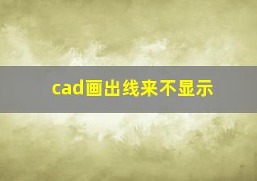 cad画出线来不显示