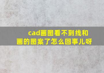 cad画图看不到线和画的图案了怎么回事儿呀