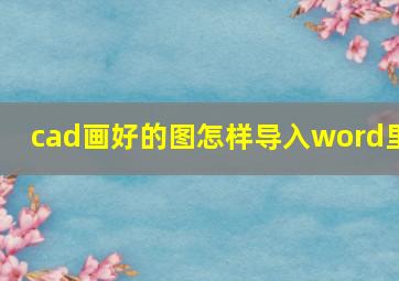 cad画好的图怎样导入word里