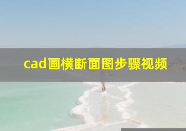 cad画横断面图步骤视频