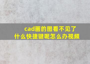 cad画的图看不见了什么快捷键呢怎么办视频