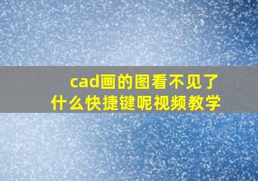 cad画的图看不见了什么快捷键呢视频教学