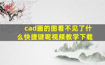 cad画的图看不见了什么快捷键呢视频教学下载