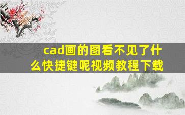 cad画的图看不见了什么快捷键呢视频教程下载