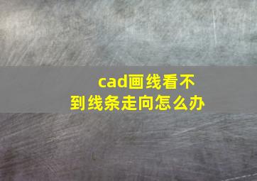 cad画线看不到线条走向怎么办