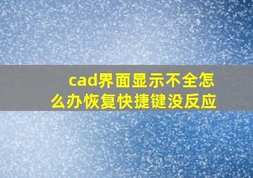 cad界面显示不全怎么办恢复快捷键没反应