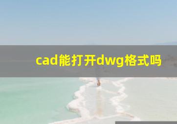 cad能打开dwg格式吗