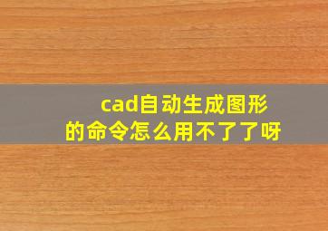 cad自动生成图形的命令怎么用不了了呀