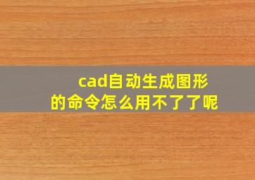 cad自动生成图形的命令怎么用不了了呢