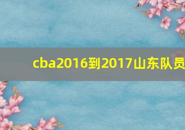 cba2016到2017山东队员