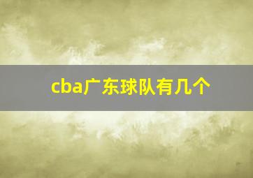 cba广东球队有几个