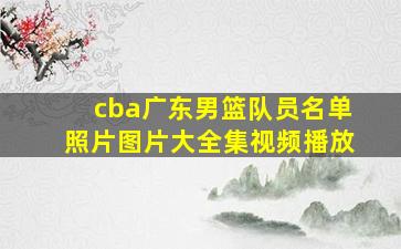 cba广东男篮队员名单照片图片大全集视频播放