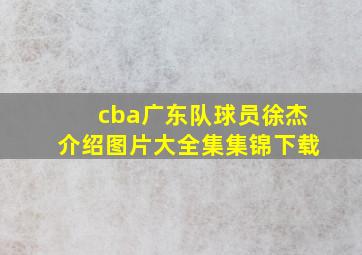 cba广东队球员徐杰介绍图片大全集集锦下载