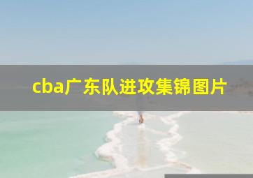 cba广东队进攻集锦图片