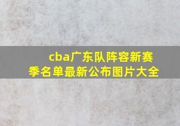 cba广东队阵容新赛季名单最新公布图片大全