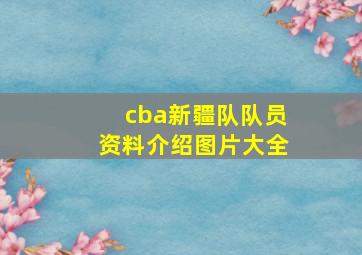 cba新疆队队员资料介绍图片大全