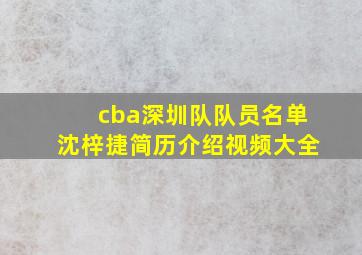 cba深圳队队员名单沈梓捷简历介绍视频大全