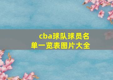 cba球队球员名单一览表图片大全