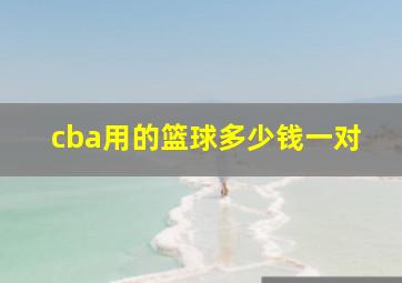 cba用的篮球多少钱一对