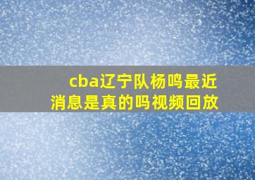 cba辽宁队杨鸣最近消息是真的吗视频回放