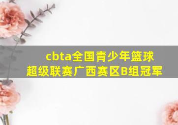 cbta全国青少年篮球超级联赛广西赛区B组冠军