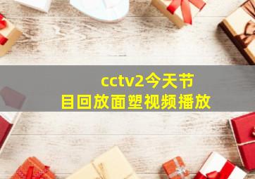 cctv2今天节目回放面塑视频播放