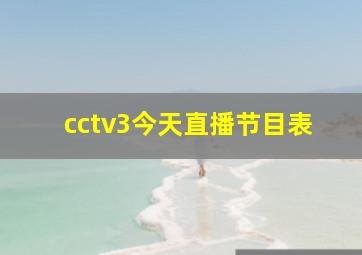 cctv3今天直播节目表