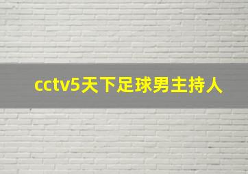 cctv5天下足球男主持人