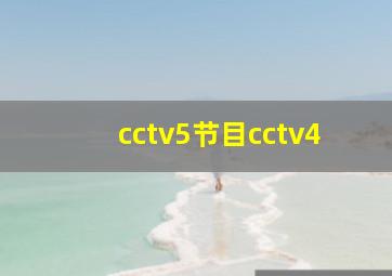 cctv5节目cctv4