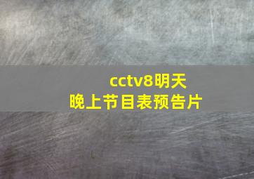 cctv8明天晚上节目表预告片