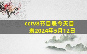 cctv8节目表今天目表2024年5月12日