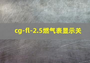 cg-fl-2.5燃气表显示关